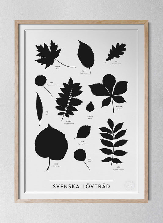 Svenska Lövträd - Utgående