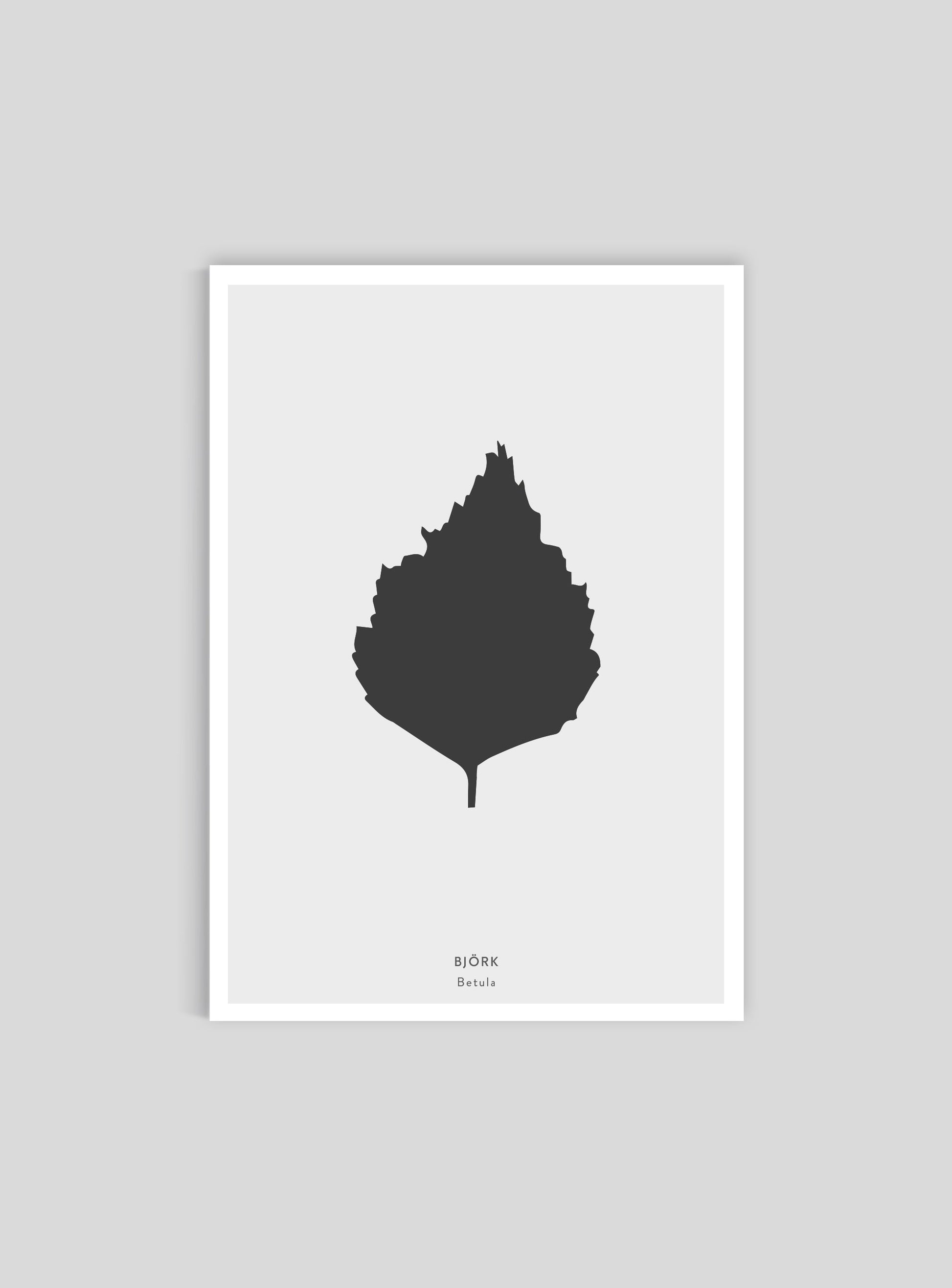 Björklöv - Mini print A5 - Kunskapstavlan